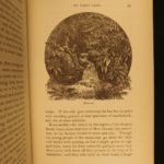 1880 1ed Caribbees & Antilles Illustrated Natural Science BIRDS Caribbean Ober