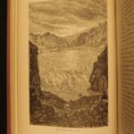 1880 1ed Caribbees & Antilles Illustrated Natural Science BIRDS Caribbean Ober