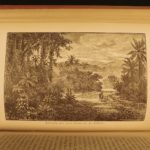 1880 1ed Caribbees & Antilles Illustrated Natural Science BIRDS Caribbean Ober