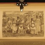 1880 1ed Caribbees & Antilles Illustrated Natural Science BIRDS Caribbean Ober