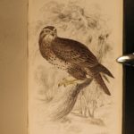 1838 Jardine BIRDS Ornithology Ireland & Britain Illustrated Falcons Hawks Owls