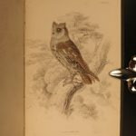 1838 Jardine BIRDS Ornithology Ireland & Britain Illustrated Falcons Hawks Owls