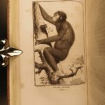 1801 1ed Virey Natural History of Man Monkeys pre-Darwin EVOLUTION Illustrated