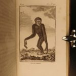 1801 1ed Virey Natural History of Man Monkeys pre-Darwin EVOLUTION Illustrated