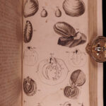 1798 1ed La Perouse Voyage Pacific Islands Japan New Zealand Shipwreck English