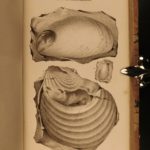 1845 1ed John C Fremont California Explorations GOLD Native American Indians