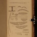 1845 1ed John C Fremont California Explorations GOLD Native American Indians