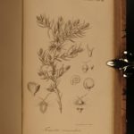 1845 1ed John C Fremont California Explorations GOLD Native American Indians
