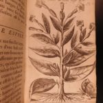 1630 Tabacologia TOBACCO in America Neander Medicine Nicotine Alchemy Smoking