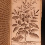 1630 Tabacologia TOBACCO in America Neander Medicine Nicotine Alchemy Smoking