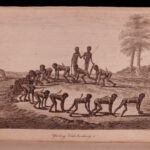 1804 Account of New South Wales David Collins Australia New Zealand Illustrated