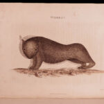 1804 Account of New South Wales David Collins Australia New Zealand Illustrated