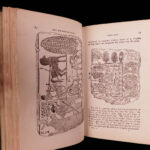 1846 Egyptian Antiquities in British Museum Illustrated EGYPT Pyramids Mummies