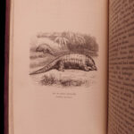 1867 AFRICA Ashango-Land Apingi Kingdom Du Chaillu Sahara Gorillas Pygmy Voyages