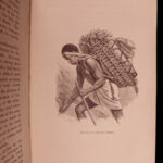 1867 AFRICA Ashango-Land Apingi Kingdom Du Chaillu Sahara Gorillas Pygmy Voyages