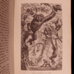 1867 AFRICA Ashango-Land Apingi Kingdom Du Chaillu Sahara Gorillas Pygmy Voyages