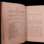 1867 AFRICA Ashango-Land Apingi Kingdom Du Chaillu Sahara Gorillas Pygmy Voyages
