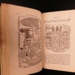 1846 Egyptian Antiquities in British Museum Illustrated EGYPT Pyramids Mummies