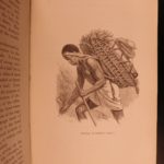 1867 AFRICA Ashango-Land Apingi Kingdom Du Chaillu Sahara Gorillas Pygmy Voyages