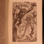 1867 AFRICA Ashango-Land Apingi Kingdom Du Chaillu Sahara Gorillas Pygmy Voyages