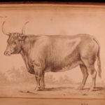 1792 John Hunter Observations on Certain Parts Animal Oeconomy Medicine Surgery