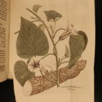 1824 Löhr Bullfighting Pagoda Great Wall CHINA America Agave Mexico Occult Spain