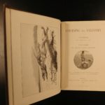 1892 Coursing & Falconry Illustrated Sports HUNTING Britain Badminton Library