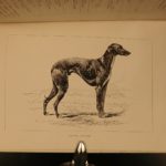 1892 Coursing & Falconry Illustrated Sports HUNTING Britain Badminton Library
