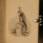 1892 Coursing & Falconry Illustrated Sports HUNTING Britain Badminton Library