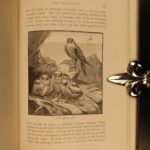 1892 Coursing & Falconry Illustrated Sports HUNTING Britain Badminton Library