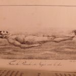 1824 Swimming Training in French Military Courtivron Illustrated Natation Diving