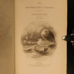 1843 Jardine BIRDS 31 Hand-Colored Illustrated Aviary Ireland Quails ORNITHOLGY