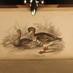 1843 Jardine BIRDS 31 Hand-Colored Illustrated Aviary Ireland Quails ORNITHOLGY