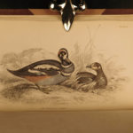 1843 Jardine BIRDS 31 Hand-Colored Illustrated Aviary Ireland Quails ORNITHOLGY