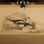 1843 Jardine BIRDS 31 Hand-Colored Illustrated Aviary Ireland Quails ORNITHOLGY