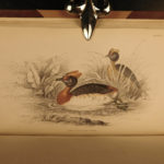 1843 Jardine BIRDS 31 Hand-Colored Illustrated Aviary Ireland Quails ORNITHOLGY