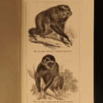 1873 1ed Mivart Man & Apes DARWIN EVOLUTION Zoology Illustrated Gorilla Catholic