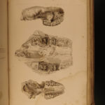 1852 1st ed Owen Geology Survey of Wisconsin Iowa Minnesota Great Lakes Fossils
