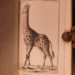 1790 1st ed Vaillant Africa Voyages Hottentot Ethnology Zoology Birds Giraffe 2v