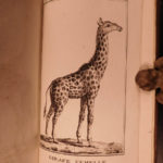 1790 1st ed Vaillant Africa Voyages Hottentot Ethnology Zoology Birds Giraffe 2v