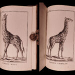 1790 1st ed Vaillant Africa Voyages Hottentot Ethnology Zoology Birds Giraffe 2v