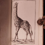 1790 1st ed Vaillant Africa Voyages Hottentot Ethnology Zoology Birds Giraffe 2v