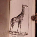 1790 1st ed Vaillant Africa Voyages Hottentot Ethnology Zoology Birds Giraffe 2v