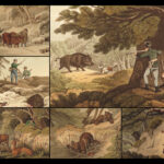 1841 1ed Foreign Field Sports Color Illustrated Hunting Fishing WHALING Howitt