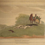 1841 1ed Foreign Field Sports Color Illustrated Hunting Fishing WHALING Howitt
