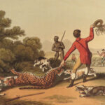 1841 1ed Foreign Field Sports Color Illustrated Hunting Fishing WHALING Howitt
