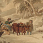 1841 1ed Foreign Field Sports Color Illustrated Hunting Fishing WHALING Howitt