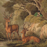 1841 1ed Foreign Field Sports Color Illustrated Hunting Fishing WHALING Howitt