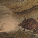 1841 1ed Foreign Field Sports Color Illustrated Hunting Fishing WHALING Howitt