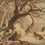 1841 1ed Foreign Field Sports Color Illustrated Hunting Fishing WHALING Howitt